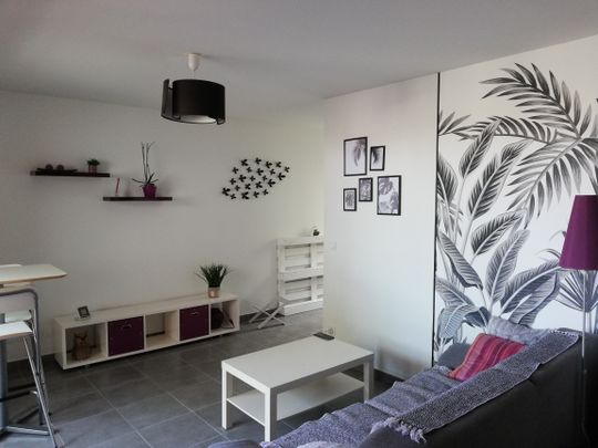 A LOUER - T1 BIS Meublé - Saint-Priest Saint-Priest (69800) Le bien en vidéo - Photo 1