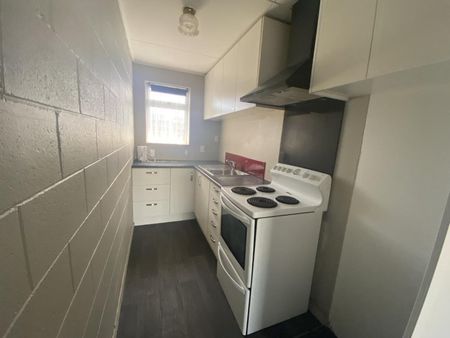 Tidy on Tweed - Photo 4