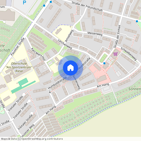 Humboldtstraße 6, 01589 Riesa, Delle