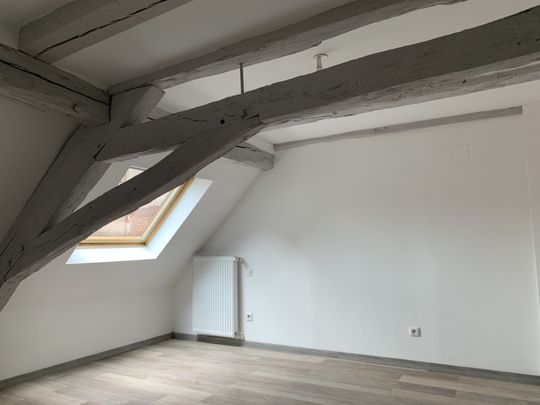Location Appartement 3 pièces 85m² SARREGUEMINES 57200 - Photo 1
