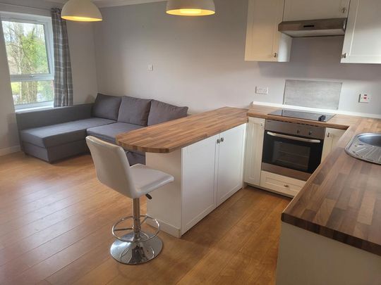 1 bedroom flat to rent - Photo 1