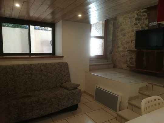 Location Appartement 1 pièce 36m² ST BAUZILLE DE LA SYLVE 34230 - Photo 1