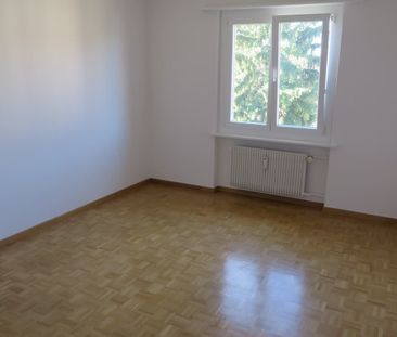 3 Zimmer, 65 m², EG - Photo 5