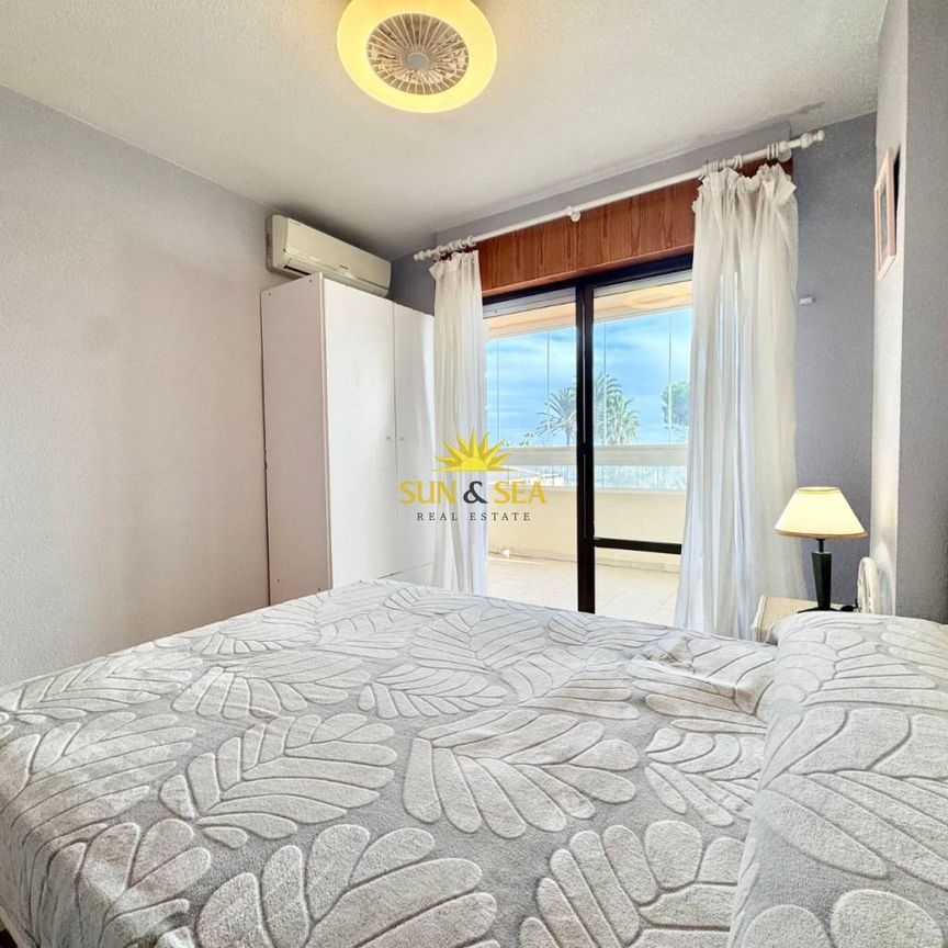 3 BEDROOM APARTMENT - TORREVIEJA - Photo 1