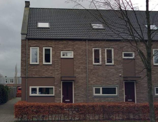 J.P.Coenstraat, 4461 ZD, Goes - Foto 1