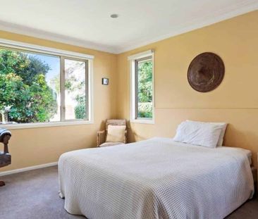 Spacious on Shelley - Photo 3