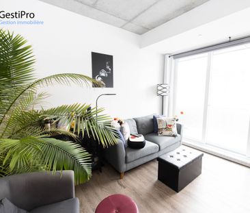 175 St-Vallier Est – Le Gecko - Photo 3