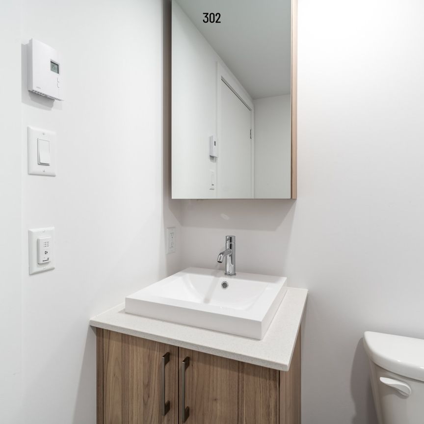 Condo for rent, Montréal (Rosemont/La Petite-Patrie) - Photo 1