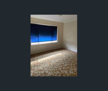 3 Bedroom home close to Town - Photo 5