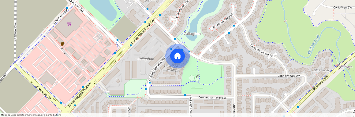 12 - 1776 Cunningham Way SW, Edmonton SW