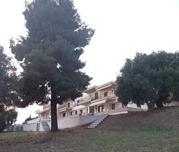 Μονοκατοικία για ενοικίαση - Σιθωνία, - Photo 6