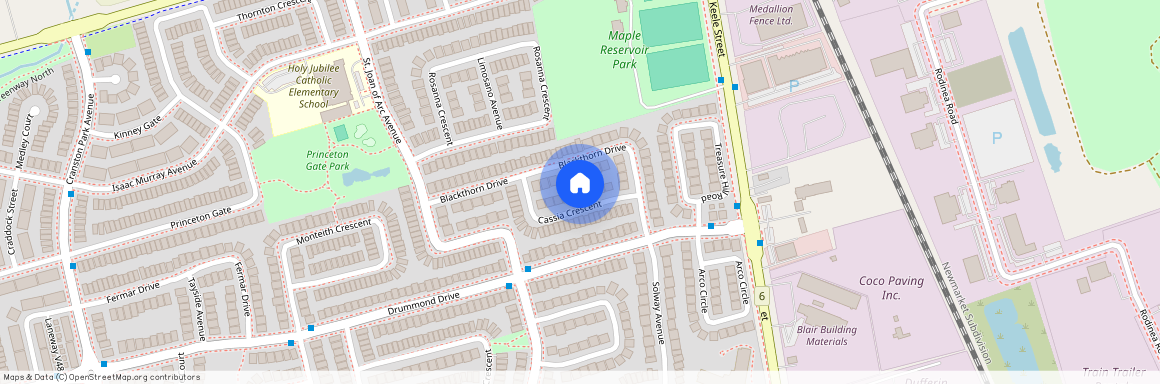 29 Cassia Crescent, Vaughan