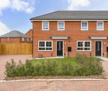 3 bedroom terraced house to rent - Photo 6