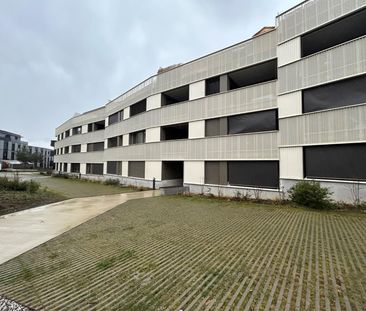 Bel appartement de 1,5 pièces au rez-de-chaussée - Photo 1