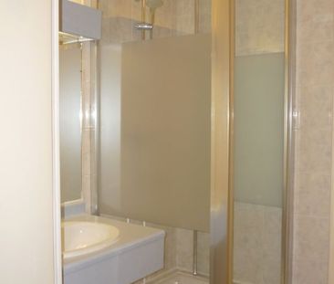 Location Appartement 1 pièce 37m² L HAY LES ROSES 94240 - Photo 4