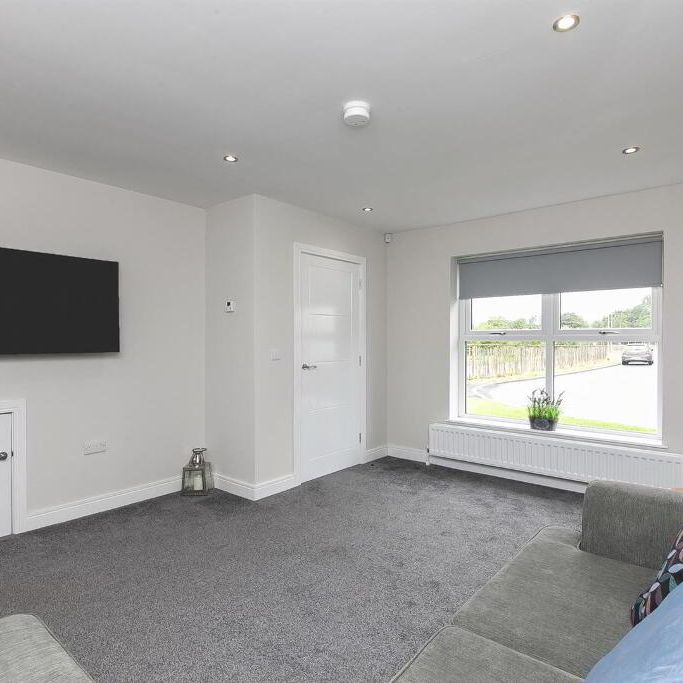 10 Belmont Hall Drive, Antrim, BT41 1FB - Photo 1