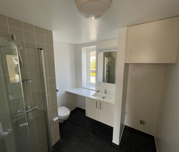 Stor 1. værelses med tagterrasse - Photo 1