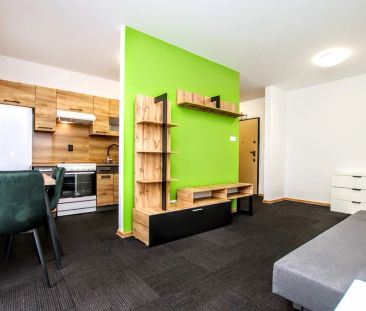 z ogródkiem/tarasem, komórką lok. - Photo 1