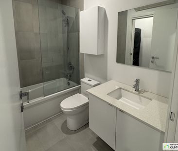 2293, rue Des Ormeaux, Ville-Marie (Centre-Ville et Vieux-Montréal)... - Photo 6