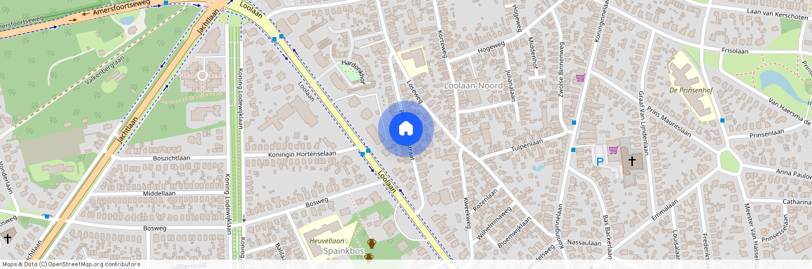 Loolaan-Noord, 7315 AV, Piet Joubertstraat, Apeldoorn