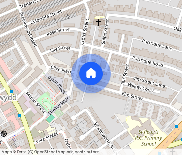 Elm Street, Roath, CF24 - Photo 1