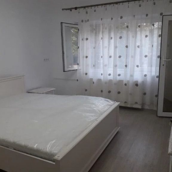 1 camera in zona Buziasului - Photo 1