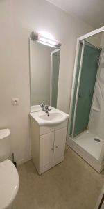 Location Appartement 1 pièce 20m² BORDEAUX 33800 - Photo 4