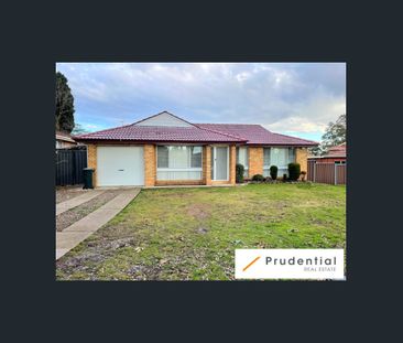 LARGE FAMILY HOME IN SELECTIVE SCHOOL ZONE - Photo 2