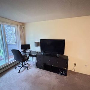 Furnished Large 1 bedroom Condo for rent! Utilities included! - Photo 2