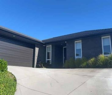 Easy Care Living - Photo 4