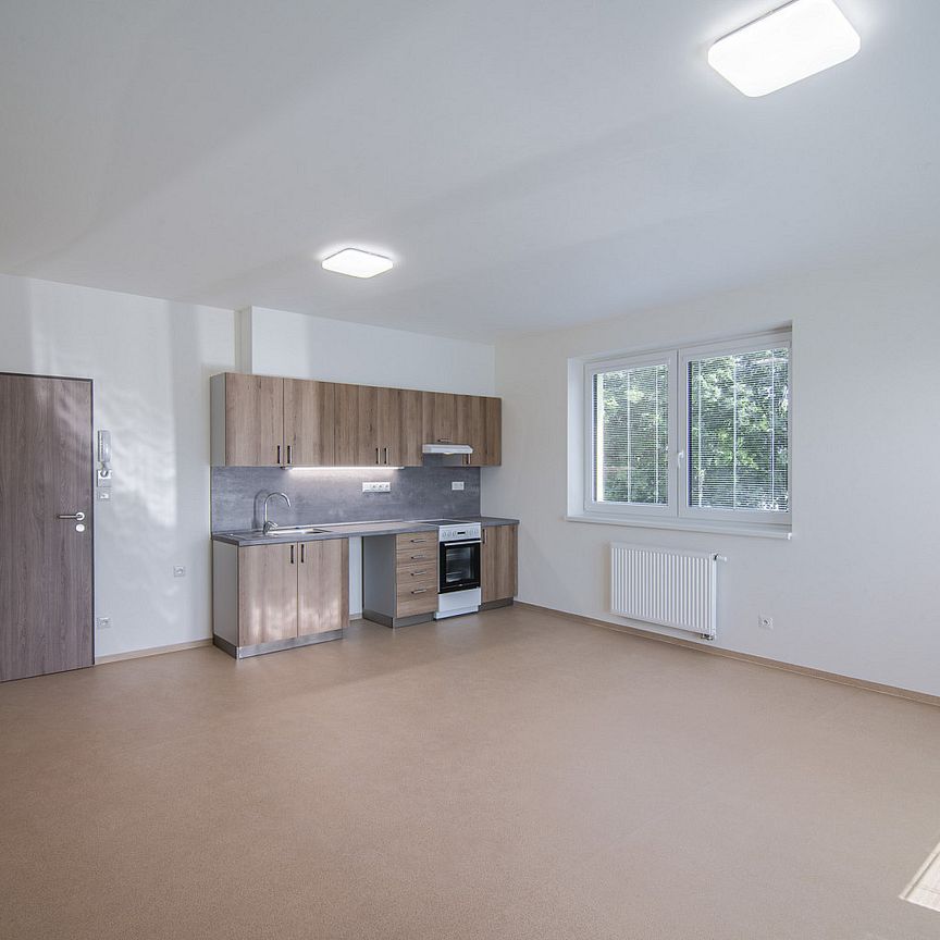 Pronájem bytu 2+kk 65 m² - Fotografie 1