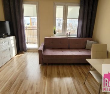 Włocławek, Południe Mieszkanie na wynajem - Zdjęcie 3