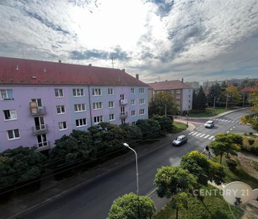 Pronájem bytu 1+1 35 m2 - Fotografie 5