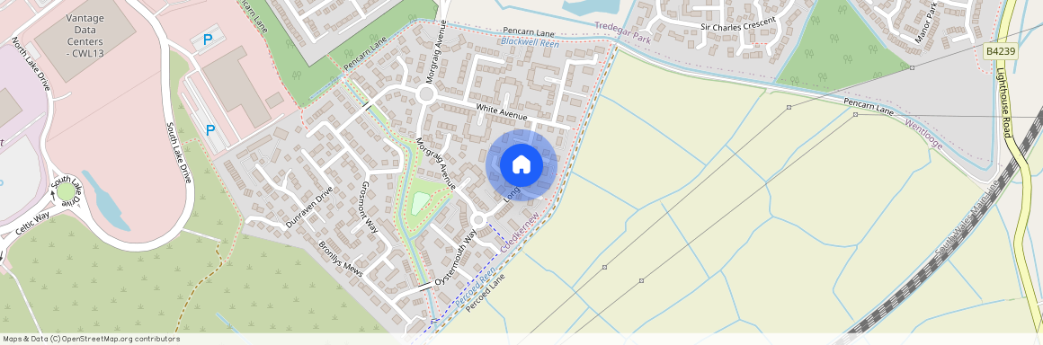 Longtown Grove, Newport