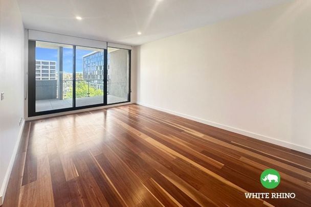 333/2 Anzac Parade, Campbell - Photo 1