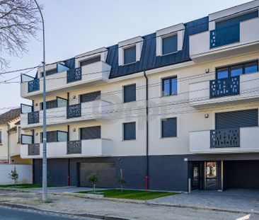 Location Appartement 1 pièce 30m² STE GENEVIEVE DES BOIS 91700 - Photo 3