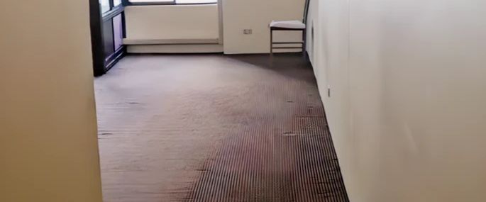 1 bed 1 bath - Photo 1