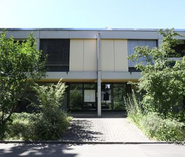 Tolle Gartenwohnung für Singles - Photo 1