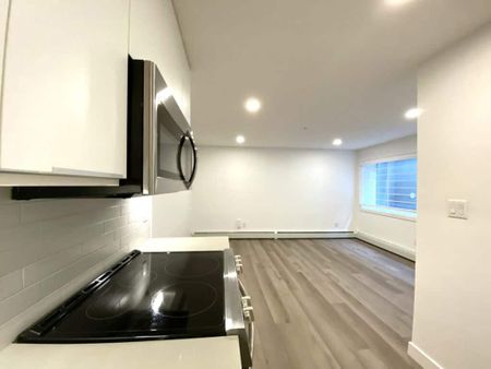 Edmonton Unfurnished apartment Rental in Queen Alexandra/Garneau - Modern Lower Level Suite Walking Distance to Whyte Ave! - Photo 2