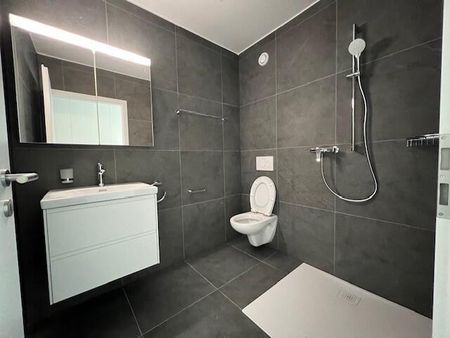 Joli 3.5 pièces au rez-de-chaussée avec terrasse et jardinet - Photo 5