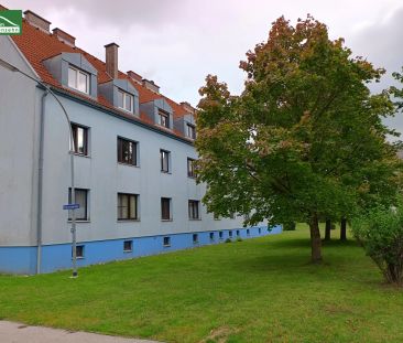 Geförderte unbefristete Genossenschaftswohnung in absoluter Ruhelag... - Photo 1