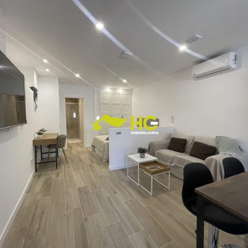 Alquiler Estudio en Urbanización - El Bosque, Villaviciosa De Odón - Foto 1