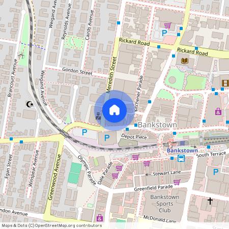 19 Meredith St, NSW 2200, Bankstown