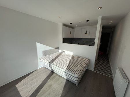 Studio Flat, Alma Street, S3 - Photo 2