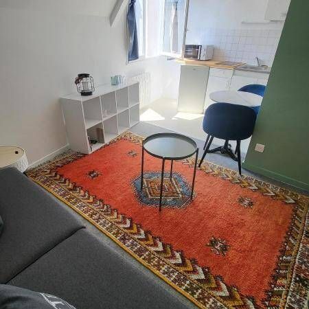 Location appartement t1 16 m² à Nantes (44000) St Donatien/Jardin des Plantes-Jardin des Plantes - Photo 3