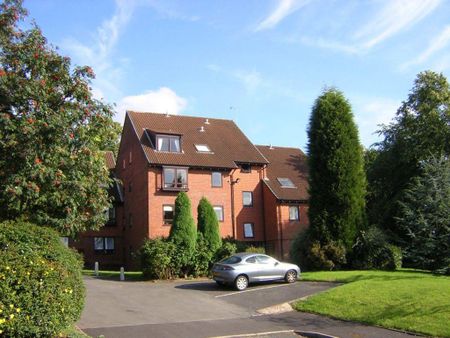 1 bedroom flat to rent - Photo 5