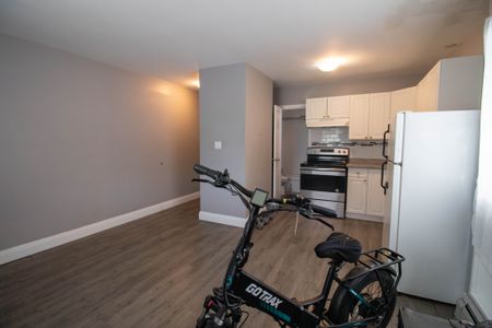 COZY BACHELOR APARTMENT IN THOROLD!! - Photo 2