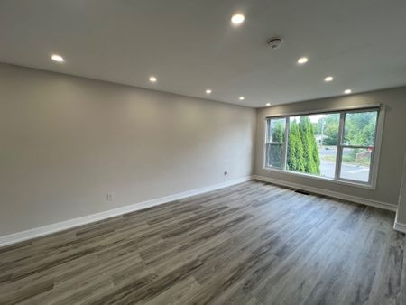 For Lease - 87 Walter Avenue Unit# MAIN, Newmarket, Ontario - Photo 3