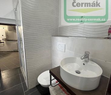 Pronájem domu 220 m² s pozemkem 240 m² - Photo 6