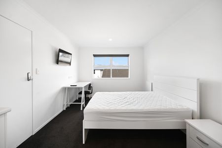 Looking for convenience and comfort near the university? - Photo 2